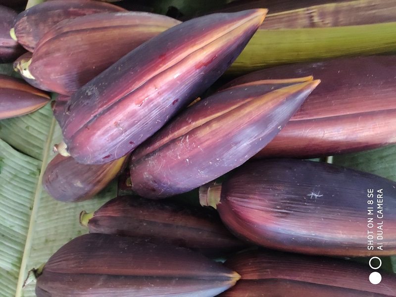 野生芭蕉花云南西双版纳新鲜小芭蕉花泰傣哈尼布朗野生芭蕉花