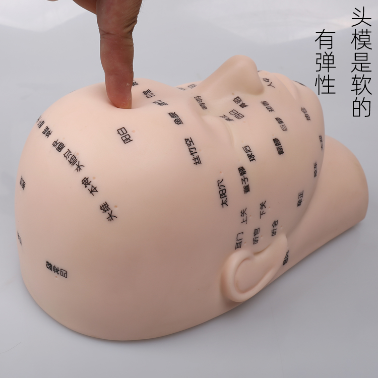 美容院模特头美容练习头模