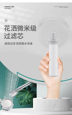 德国花洒手持洗澡家用净化过滤