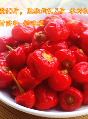 四川泡灯笼椒 10斤61元 包邮 泡菜圆辣椒 川菜 泡酸 海椒 泡椒
