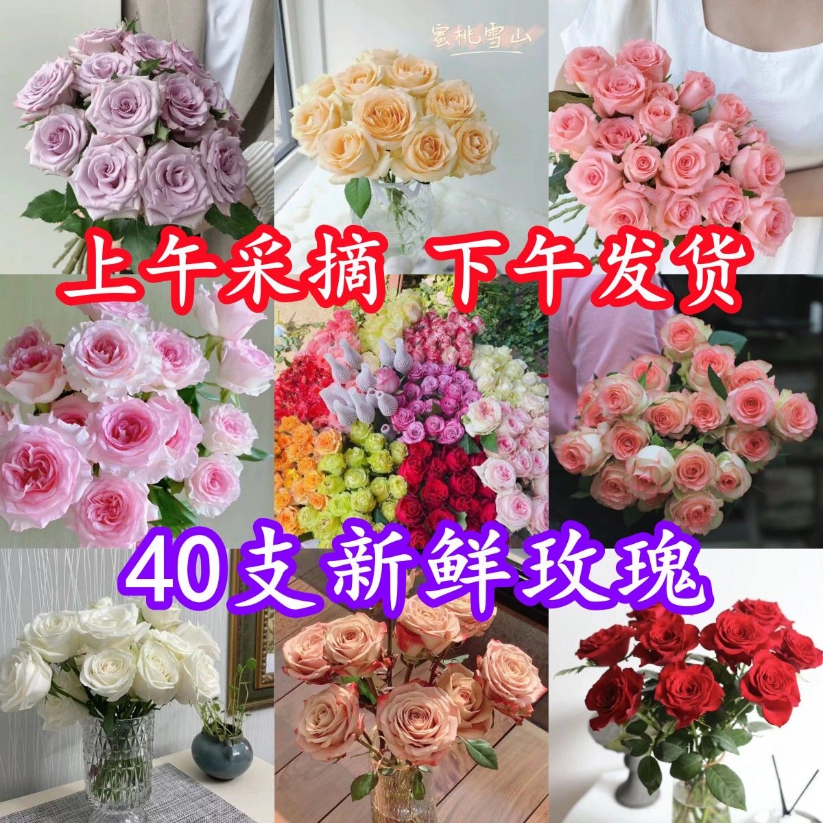 鲜花玫瑰花束基地直发包邮向日葵批发家用水养插花