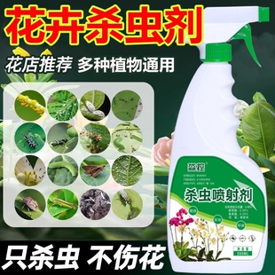 红蜘蛛杀虫药月季玫瑰茉莉专用叶螨蜘蛛网小红点虫子药除虫打虫剂