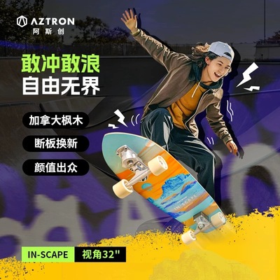 AZTRON陆地冲浪板免蹬cx4初学者