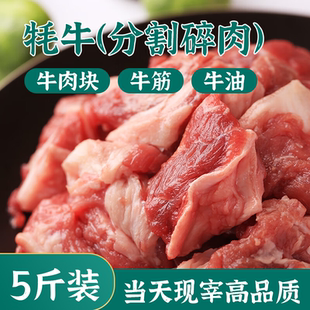 5斤当日屠宰新鲜筋头巴脑原切牦牛肉分割碎肉冷冻商用批发鲜肉