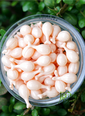 100粒逆时间胶囊胶原蛋白精华液胶囊 提la弹性 时间定格