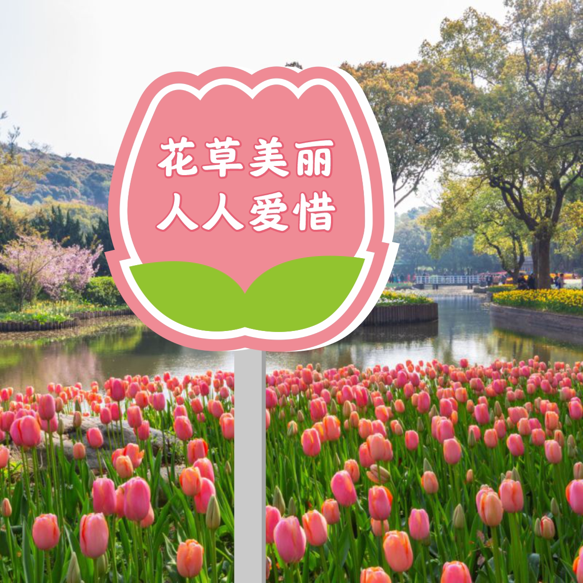 爱护花草小区绿化草坪插地提示牌