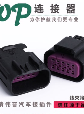 15326843 10孔别克/ 英朗/君越/君威大灯插头 DJ7105D-1.5含端子