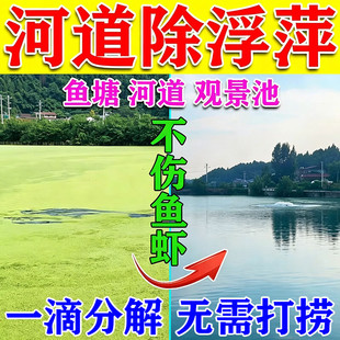 浮萍清除剂一扫光鱼塘池除藻去苔剂水产养殖除水草藻水花生免打捞