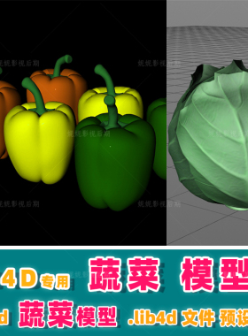 m13- c4d蔬菜模型   c4d模型预设 .lib4d 14种  普通精度 c4d模型