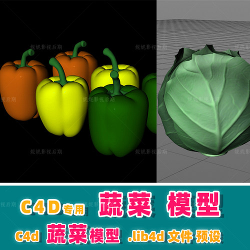 m13- c4d蔬菜模型   c4d模型预设 .lib4d 14种  普通精度 c4d模型