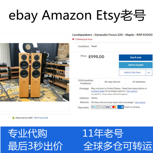 ebay代购美国法国意大利德国澳大利亚易趣竞拍转运Etsy
