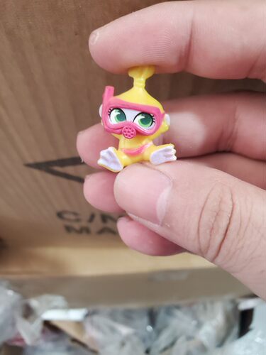 正版散货Shimmer and Shine 愿望精灵小姐妹精灵公主飞毯之旅摆件