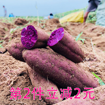 新鲜大紫薯地瓜农家自种紫心大紫番薯红薯五斤装包邮价