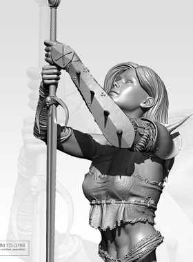 55mm ZBBOY监制 圣女骑士之剑 半身  树脂兵人 白模 TD-3788/3D