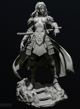 人高 38mm 50mm 75mm 武者女侠 树脂白模 TD-6554/3D