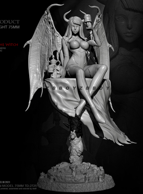 H75mm 1/24 ZBBOY监制 小魔女之夜  树脂 女兵人 白模 TD-2725