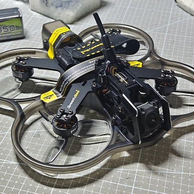 bee25master3x小o4头