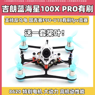 吉朗蓝海星100XPRO有刷反乌龟