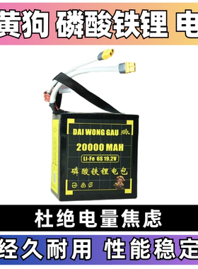 DAI WONG GAU 6s 15ah 20ah 30ah磷酸铁锂航模电包 FPV穿越机电包