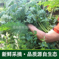 Moringa leaves and dried Moringa leaves can be used to make tea. Non-indian imported Moringa seed tea is edible. 500g Moringa leaf powder with free shipping thumbnail 4