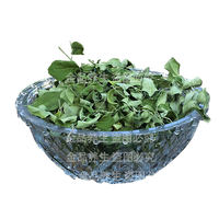 Moringa leaves and dried Moringa leaves can be used to make tea. Non-indian imported Moringa seed tea is edible. 500g Moringa leaf powder with free shipping thumbnail 7