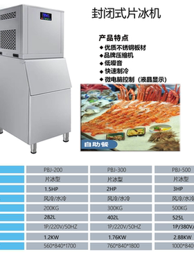 雪花冰机商用方块冰片冰机超市片状制冰机海鲜自助餐火锅店粒冰机