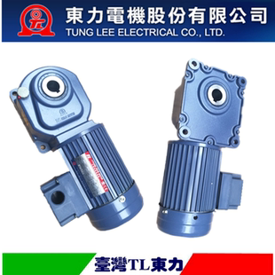 TL东历电机 TL4060-0100-80-300S3B YS100-4P 1/8HP/0.1KW