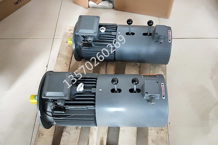 贝得舞台吊杆机商场吊钩机专用4kw112机座双抱闸刹车电机双吊点
