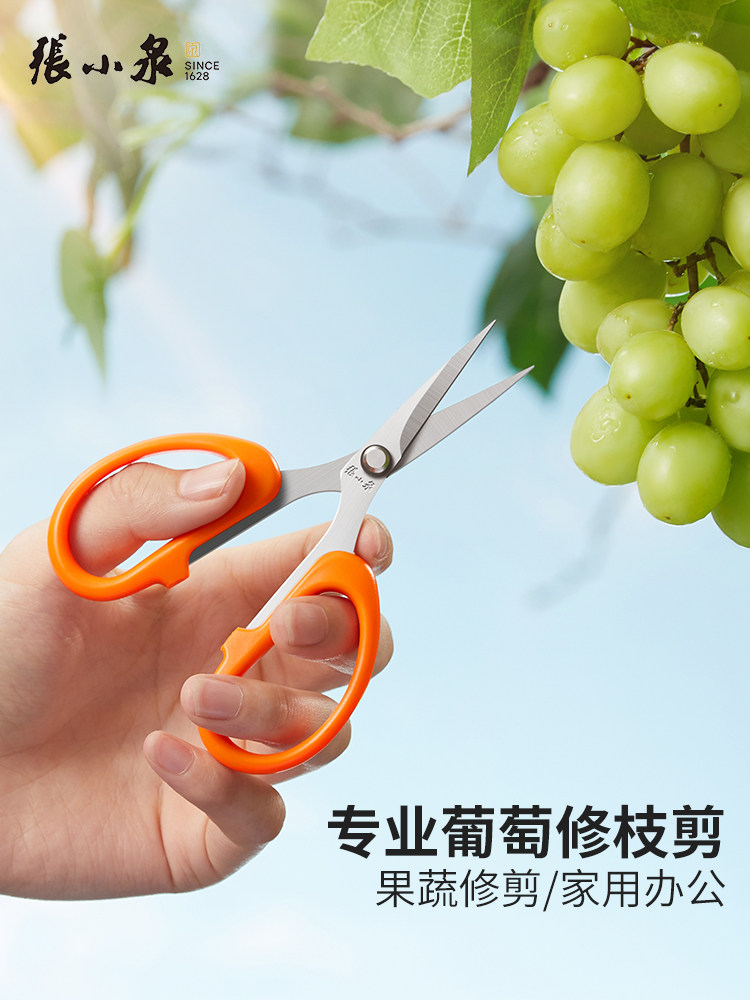张小泉葡萄专用剪刀蔬果尖头
