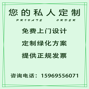 昆明同城绿植租赁养护设计搭配