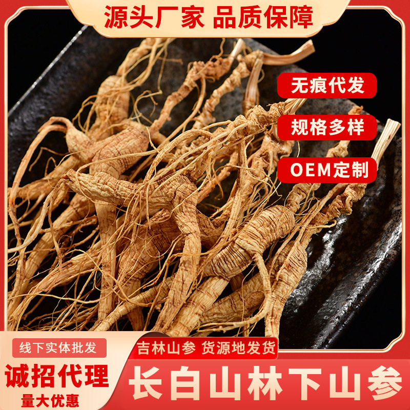 长白山干参中药材煲汤泡酒人参50克山参桓仁东北林下参干货礼盒