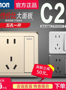 Simon/西蒙C20系列 五孔带单控/双控开关 一开五孔 二三插带开关