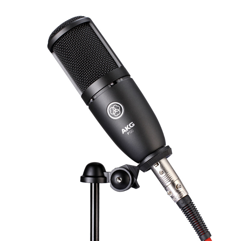 AKG/爱科技 P120/P220专业电容麦克风录音配音人声乐器大合唱话筒图片