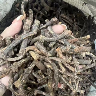 原产地泰国木龙根泡酒500克泡酒料中药材中草药药酒 中老年关爱品