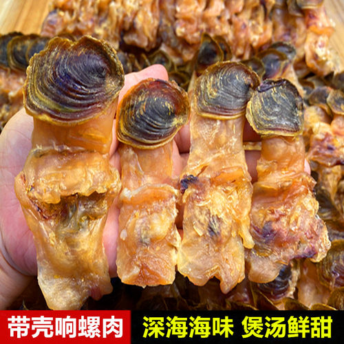 原只带壳红螺干响螺肉红螺头干货