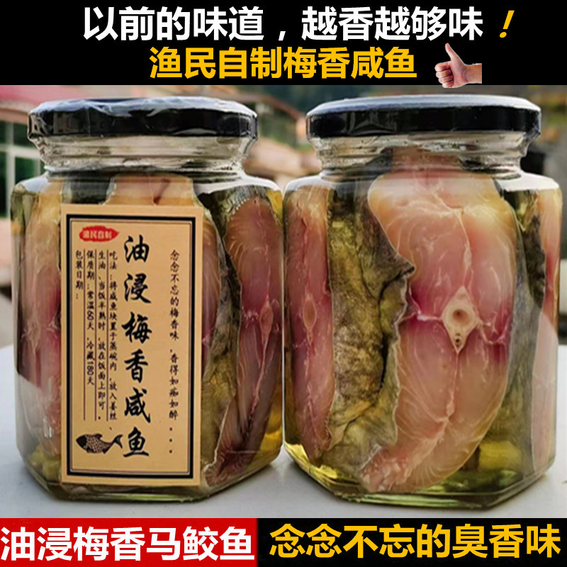 广东梅香咸鱼干马鲛鱼鱼茄子煲