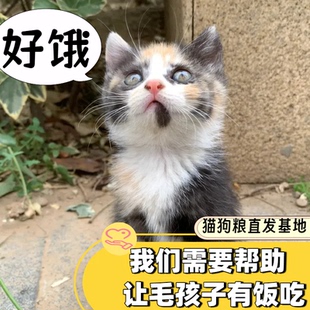 日行一善爱心捐赠救助流浪动物凑2元攒两块钱包邮商品公益单88vip