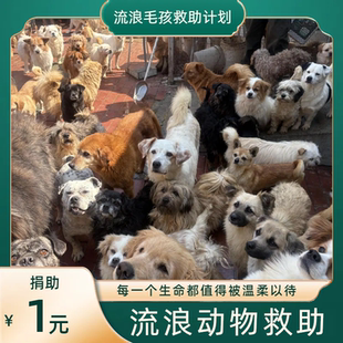 爱心捐赠 1分钱捐款0.01元1毛0.5元五毛钱一块钱商品包邮一元公益