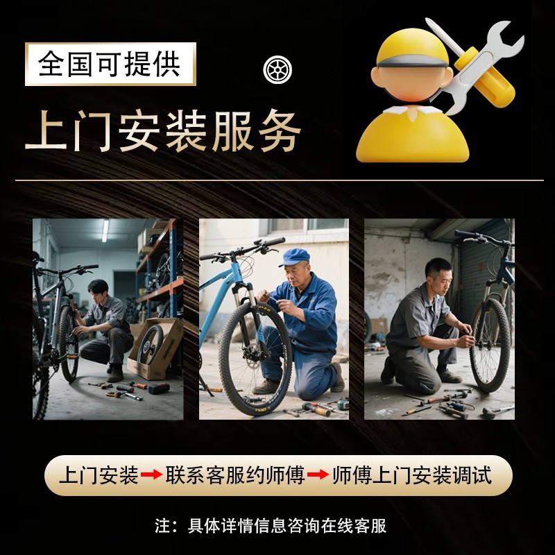 上海凤凰品牌专属上门安装山地自行车公路车