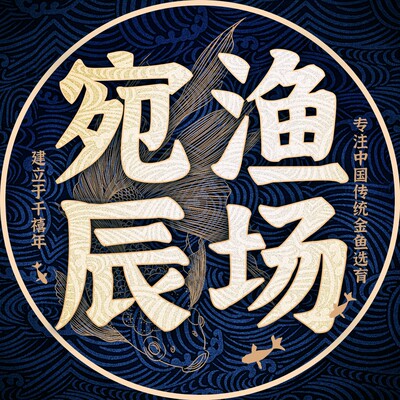 丹凤 蛋球 凤高 文凤 珍珠 水泡 群尾龙睛【直播专拍 请勿乱拍】