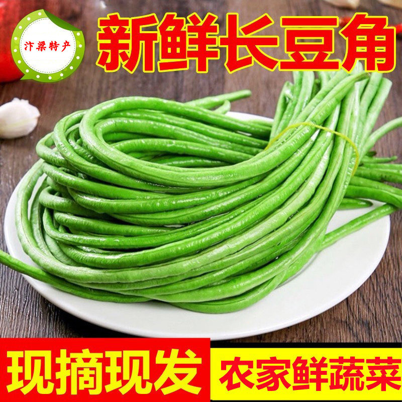 豇豆河南大棚露天长嫩包邮产地