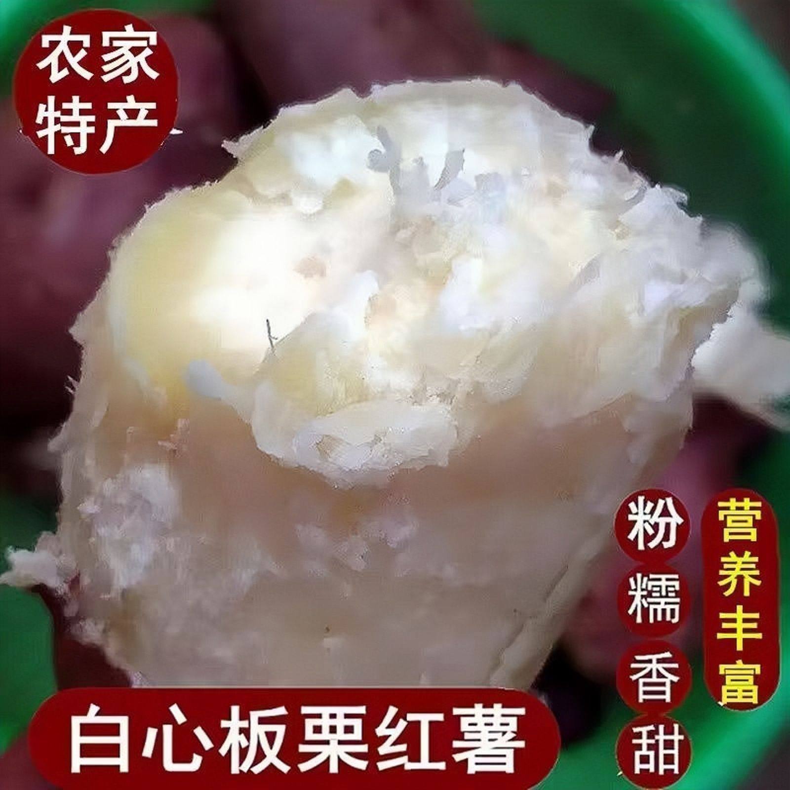 新鲜板栗薯白心红薯白薯山芋地瓜现挖番薯批发非糖心红心紫心