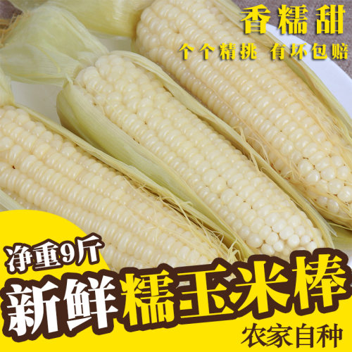 重庆新鲜白糯玉米现摘带壳爆浆嫩包谷非转基因当季代餐产地批发