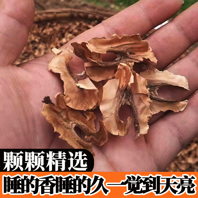 新货野生核桃分心木核桃隔心木夹心木皮芯隔新鲜失眠睡眠桂圆茶