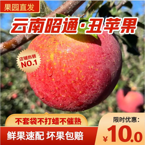 云南新鲜华硕丑苹果农家自种现摘现发五斤九斤包邮（小桃子）