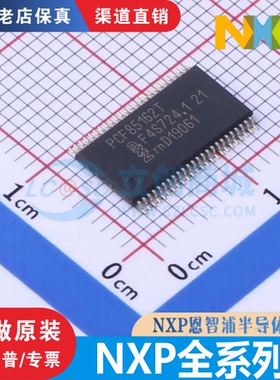 PCF85162/8563T S9KEAZN/KEAZ128/64AMLH SJA1000T/N1 TEA1716T/2