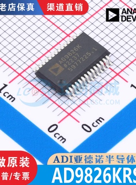AD9826KRSZ 封装  SSOP-28 全新原装 渠道直销 现货直拍