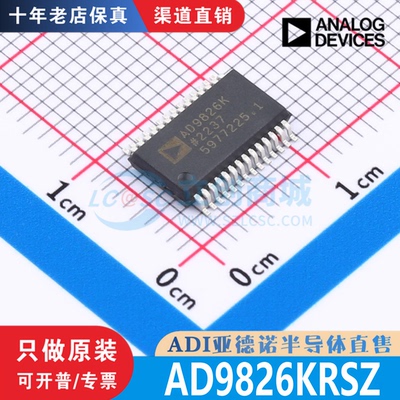 AD9826KRSZ 封装  SSOP-28 全新原装 渠道直销 现货直拍