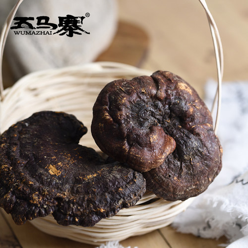 五马寨 广东特产 粤北韶关 灵芝 深山野生赤灵芝伞大整枝 500g - 封面