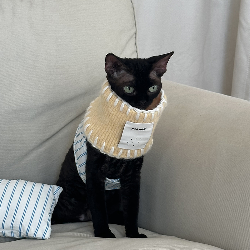 PesPes宠物多功能保暖套头围脖马卡龙色保护肚子针织中小犬小灵缇